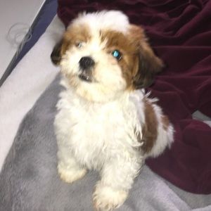 Meet your Posher, Vanessa